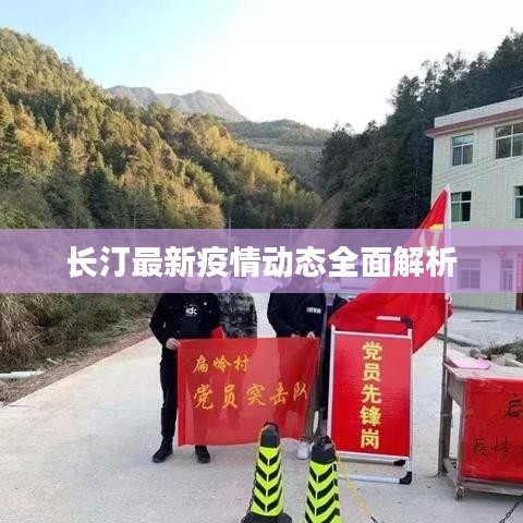 长汀最新疫情动态全面解析