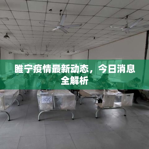 睢宁疫情最新动态，今日消息全解析