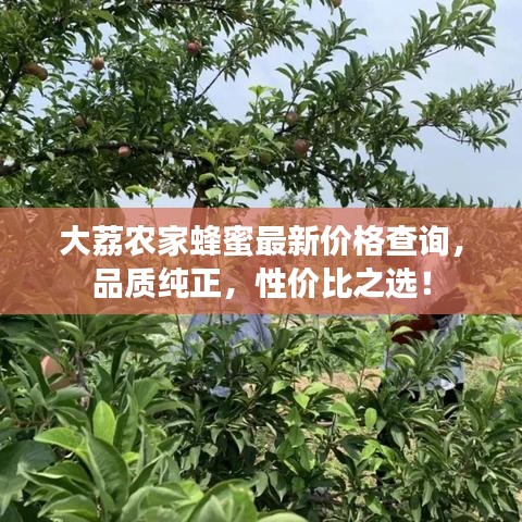 大荔农家蜂蜜最新价格查询，品质纯正，性价比之选！