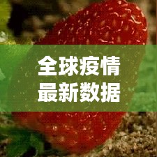 全球疫情最新数据解析，今日动态与趋势分析