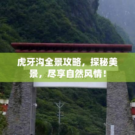 虎牙沟全景攻略，探秘美景，尽享自然风情！