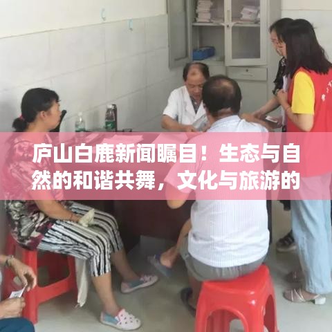 庐山白鹿新闻瞩目！生态与自然的和谐共舞，文化与旅游的绝佳融合
