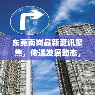 东莞南岗最新资讯聚焦，传递发展动态，新闻头条不容错过