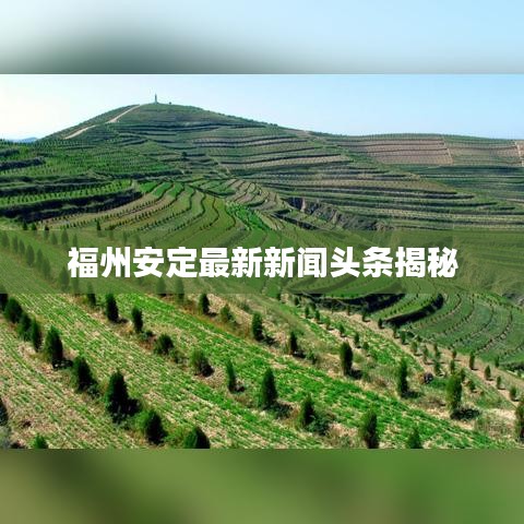 福州安定最新新闻头条揭秘