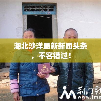 湖北沙洋最新新闻头条，不容错过！