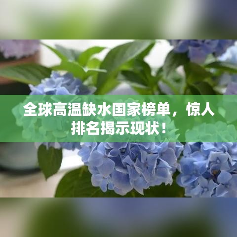 全球高温缺水国家榜单，惊人排名揭示现状！