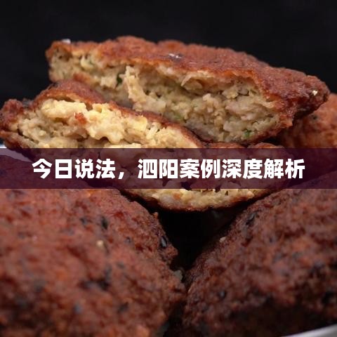 今日说法，泗阳案例深度解析