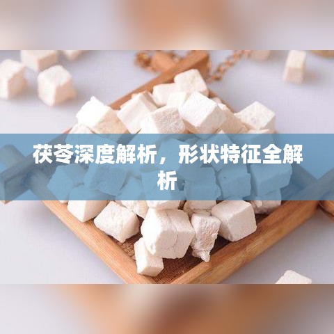 茯苓深度解析，形状特征全解析