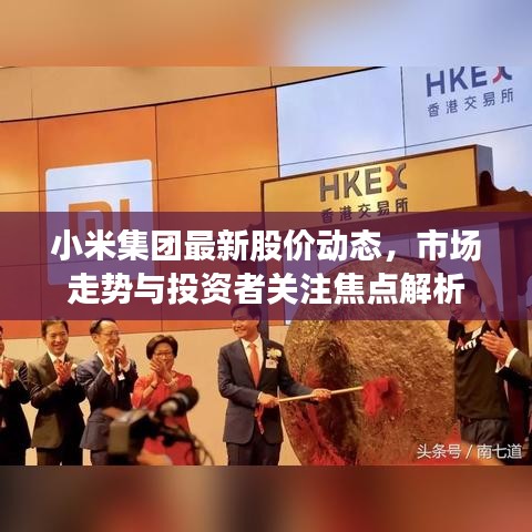 小米集团最新股价动态，市场走势与投资者关注焦点解析