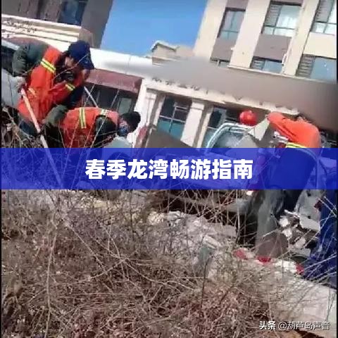 春季龙湾畅游指南