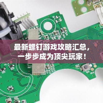 最新螺钉游戏攻略汇总，一步步成为顶尖玩家！