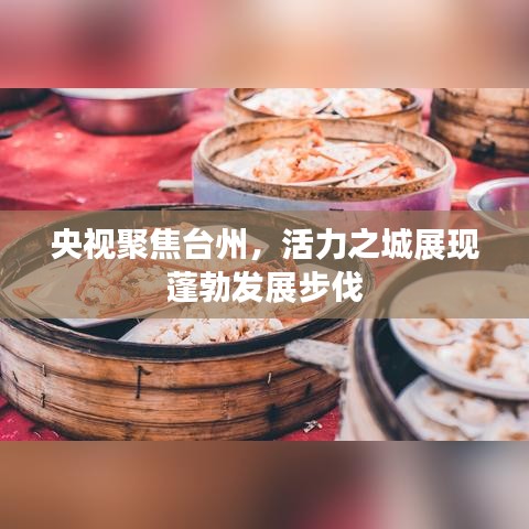央视聚焦台州，活力之城展现蓬勃发展步伐