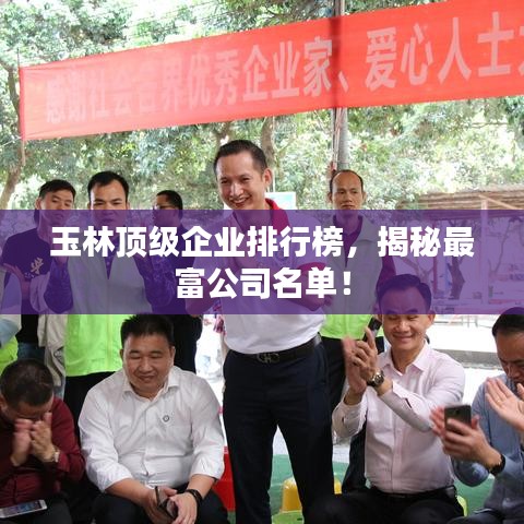 玉林顶级企业排行榜，揭秘最富公司名单！