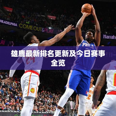 雄鹿最新排名更新及今日赛事全览