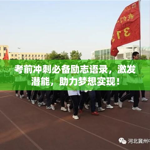笼鸟槛猿 第2页