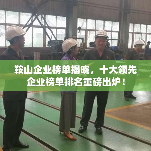 鞍山企业榜单揭晓，十大领先企业榜单排名重磅出炉！