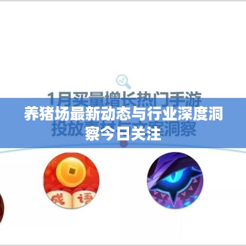 养猪场最新动态与行业深度洞察今日关注