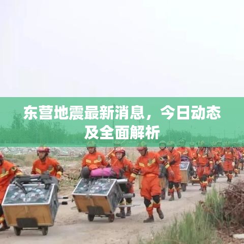 东营地震最新消息，今日动态及全面解析
