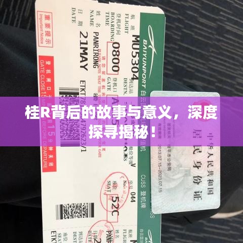 桂R背后的故事与意义，深度探寻揭秘！