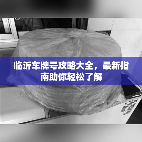 临沂车牌号攻略大全，最新指南助你轻松了解