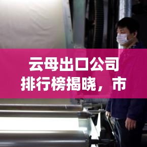 云母出口公司排行榜揭晓，市场影响力与排名一览