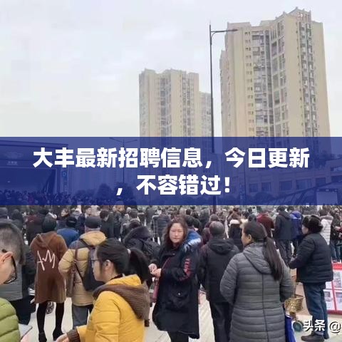 大丰最新招聘信息，今日更新，不容错过！