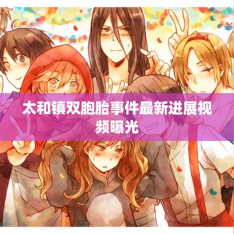 太和镇双胞胎事件最新进展视频曝光