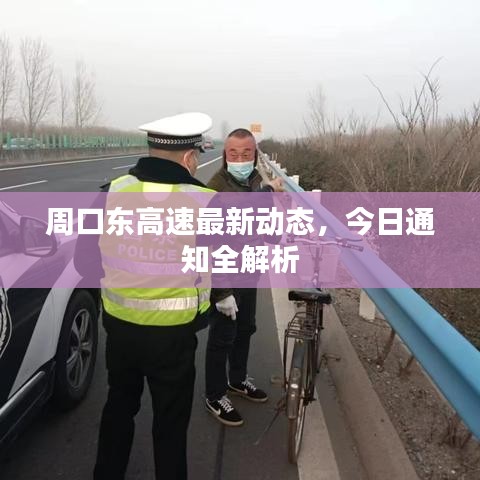 周口东高速最新动态，今日通知全解析