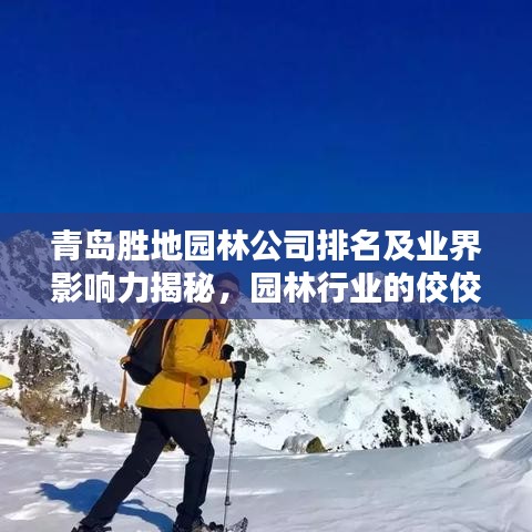 青岛胜地园林公司排名及业界影响力揭秘，园林行业的佼佼者