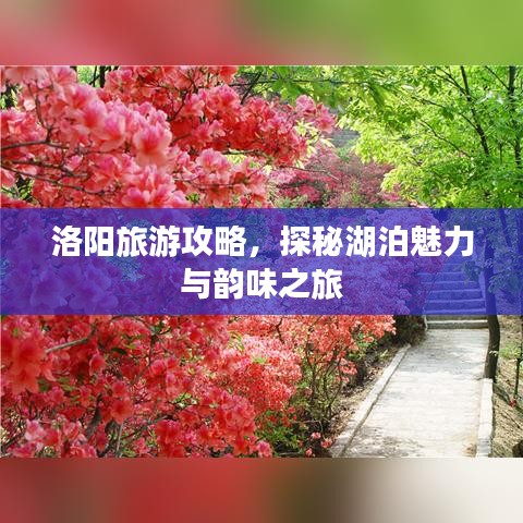 洛阳旅游攻略，探秘湖泊魅力与韵味之旅