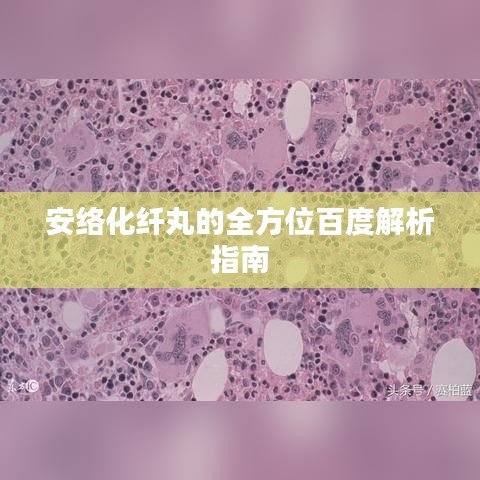安络化纤丸的全方位百度解析指南