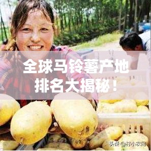 全球马铃薯产地排名大揭秘！