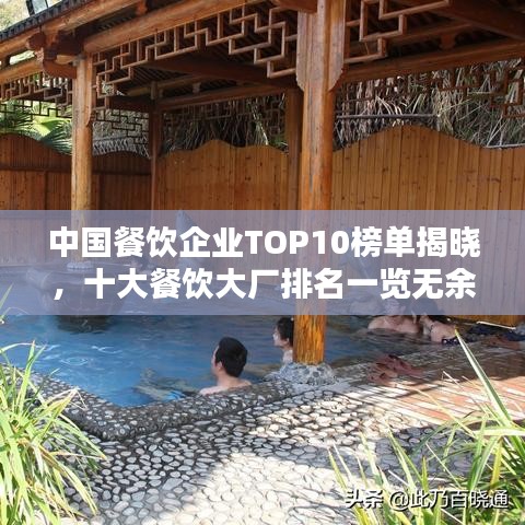 中国餐饮企业TOP10榜单揭晓，十大餐饮大厂排名一览无余！