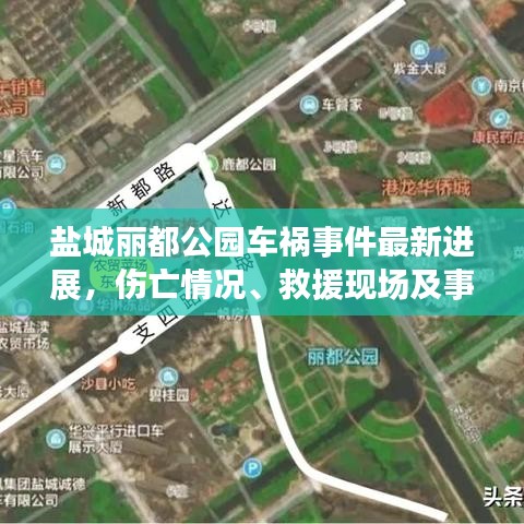 盐城丽都公园车祸事件最新进展，伤亡情况、救援现场及事件回顾
