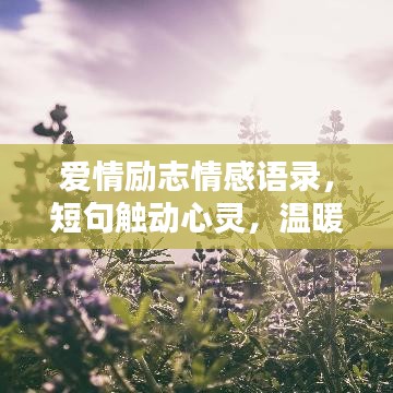 爱情励志情感语录，短句触动心灵，温暖你我他