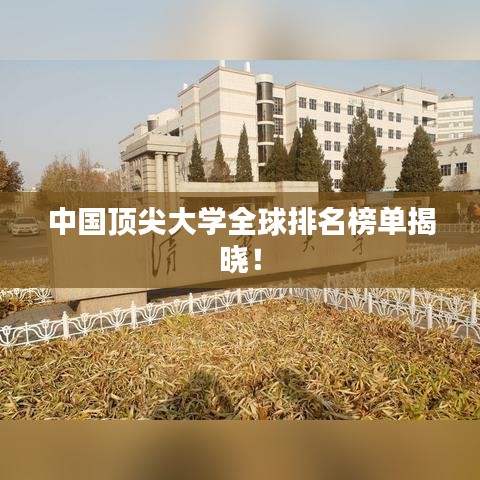 花开无言