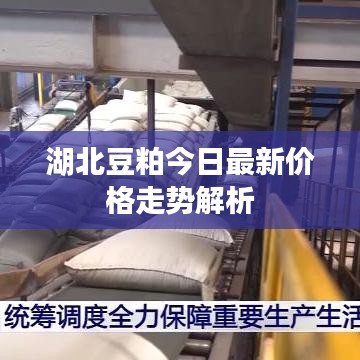 湖北豆粕今日最新价格走势解析