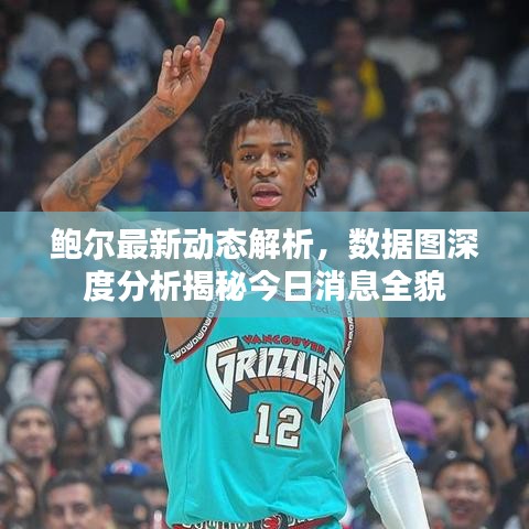 鲍尔最新动态解析，数据图深度分析揭秘今日消息全貌