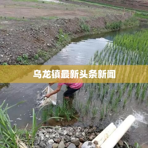 乌龙镇最新头条新闻