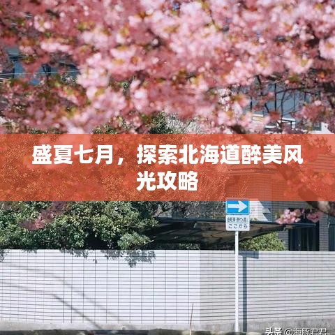 盛夏七月，探索北海道醉美风光攻略