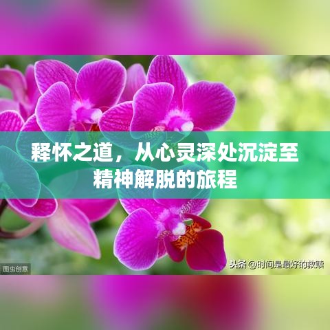 释怀之道，从心灵深处沉淀至精神解脱的旅程
