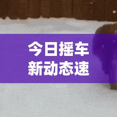 今日摇车新动态速递