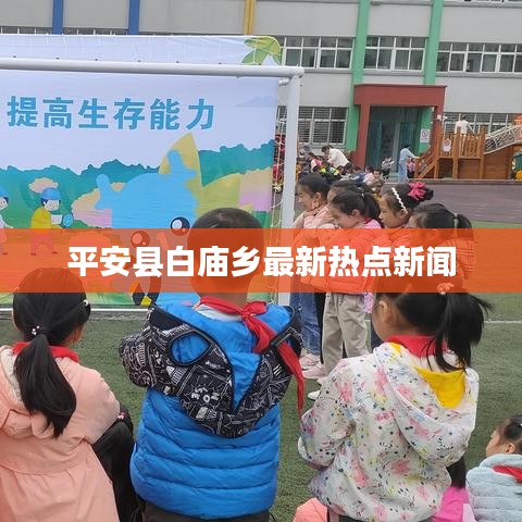 平安县白庙乡最新热点新闻