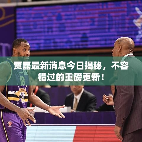 贾磊最新消息今日揭秘，不容错过的重磅更新！