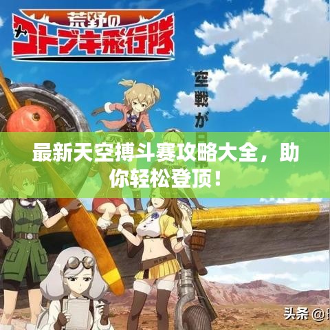 最新天空搏斗赛攻略大全，助你轻松登顶！