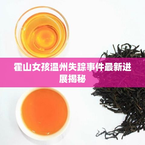 霍山女孩温州失踪事件最新进展揭秘