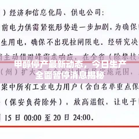 甲醇停产最新动态，今日生产全面暂停消息揭秘