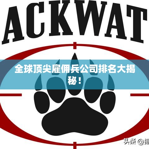 全球顶尖雇佣兵公司排名大揭秘！
