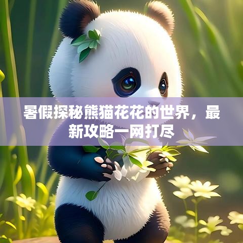 暑假探秘熊猫花花的世界，最新攻略一网打尽