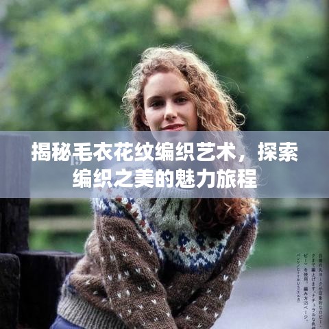 揭秘毛衣花纹编织艺术，探索编织之美的魅力旅程